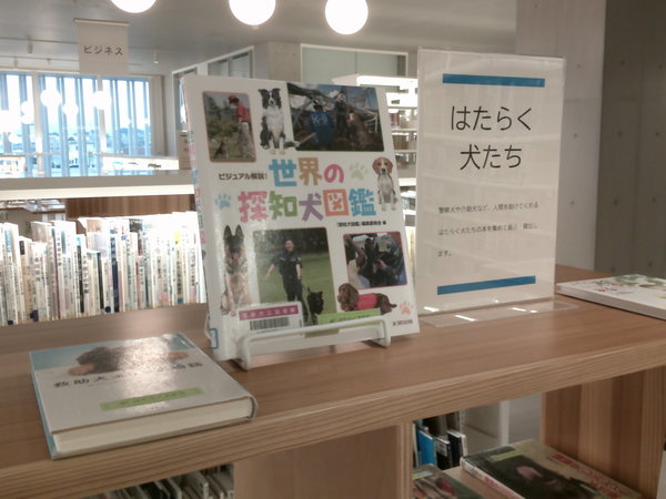 はたらく犬たち１.JPG