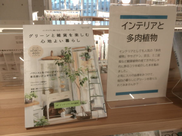 インテリアと多肉植物１.JPGのサムネイル画像