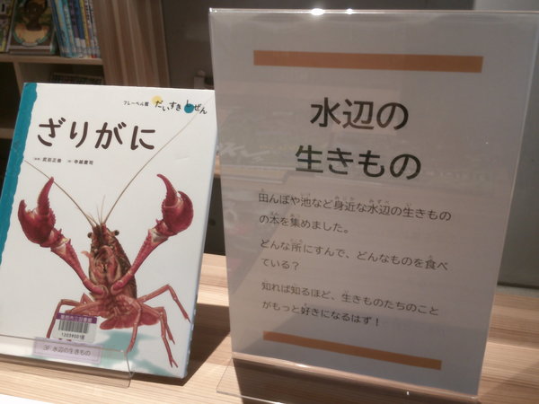 水辺の生きもの１.JPGのサムネイル画像